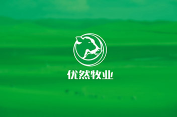 品牌策略規劃、VI設計、LOGO設計、產品包裝設計